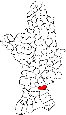 The Scărișoara, Olt card