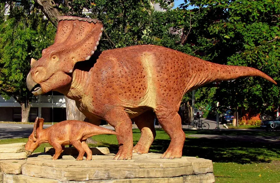 The Vagaceratops card