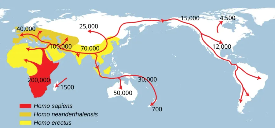 The Early expansions of hominins out of Africa card