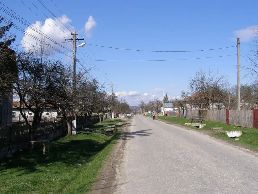 La carte Roești