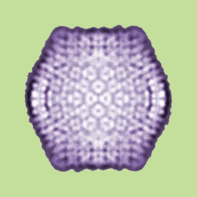 La carte Virophage
