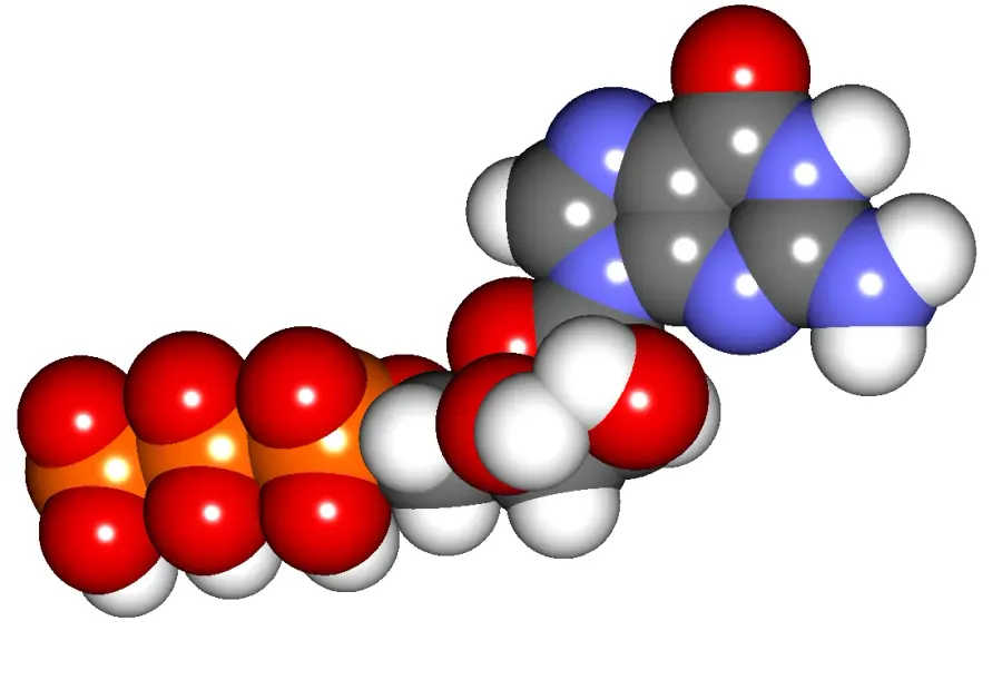 La carte Guanosine triphosphate