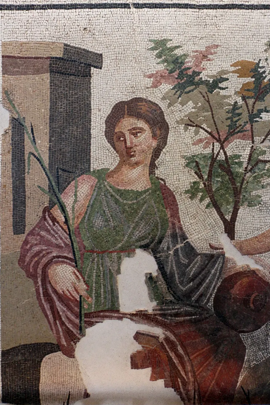 The Cyrene card