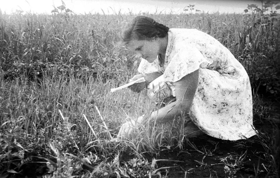 La carte Météorologie agricole
