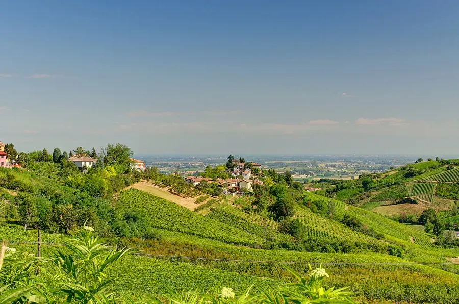The Corvino San Quirico card