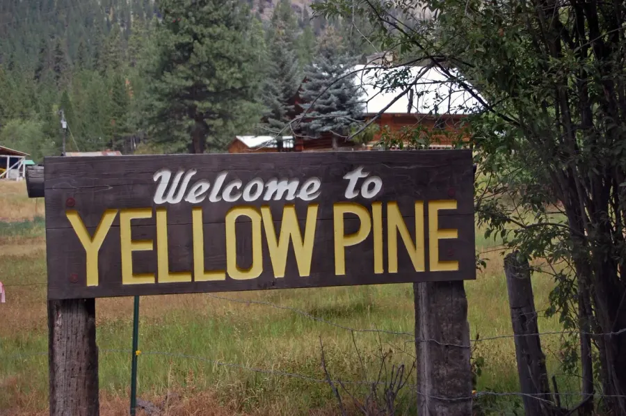 La carte Yellow Pine