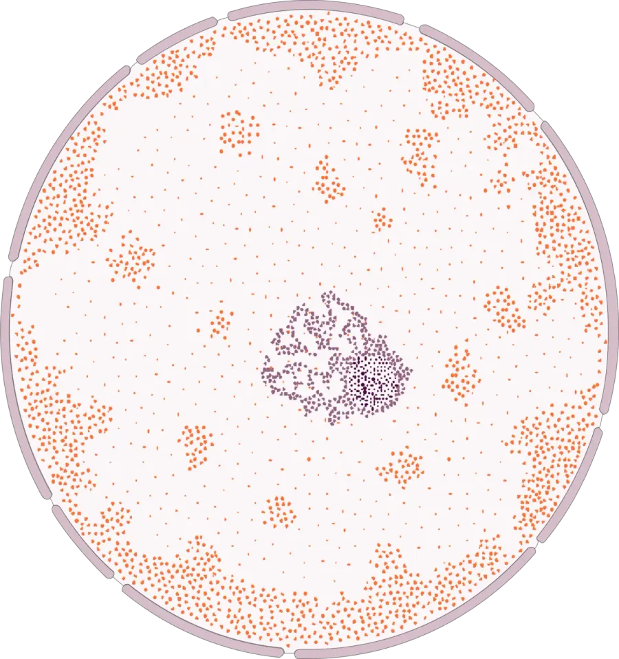 La carte Noyau cellulaire