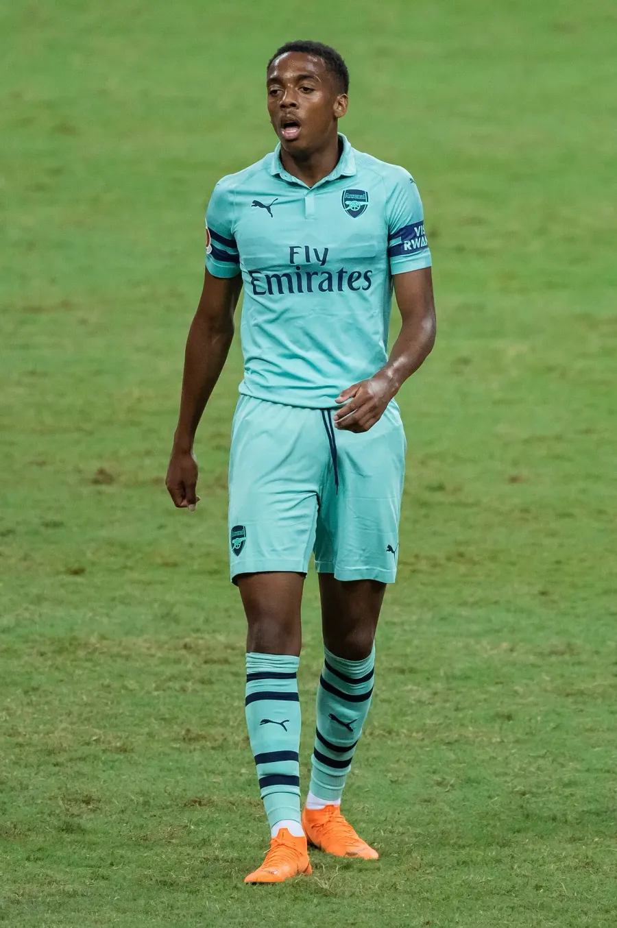 The Joe Willock card