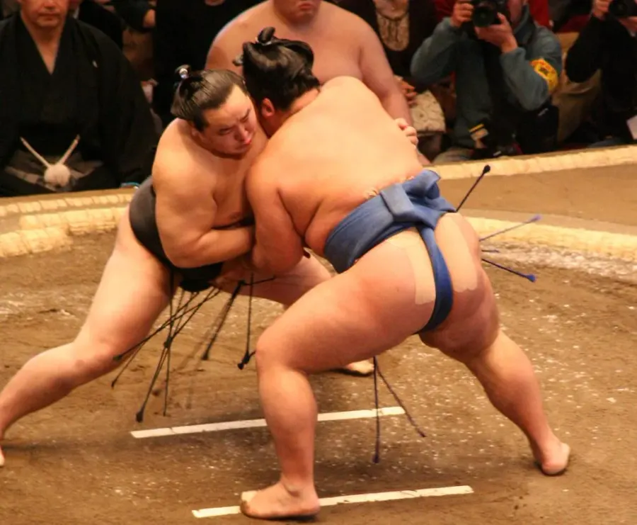 La carte Sumo