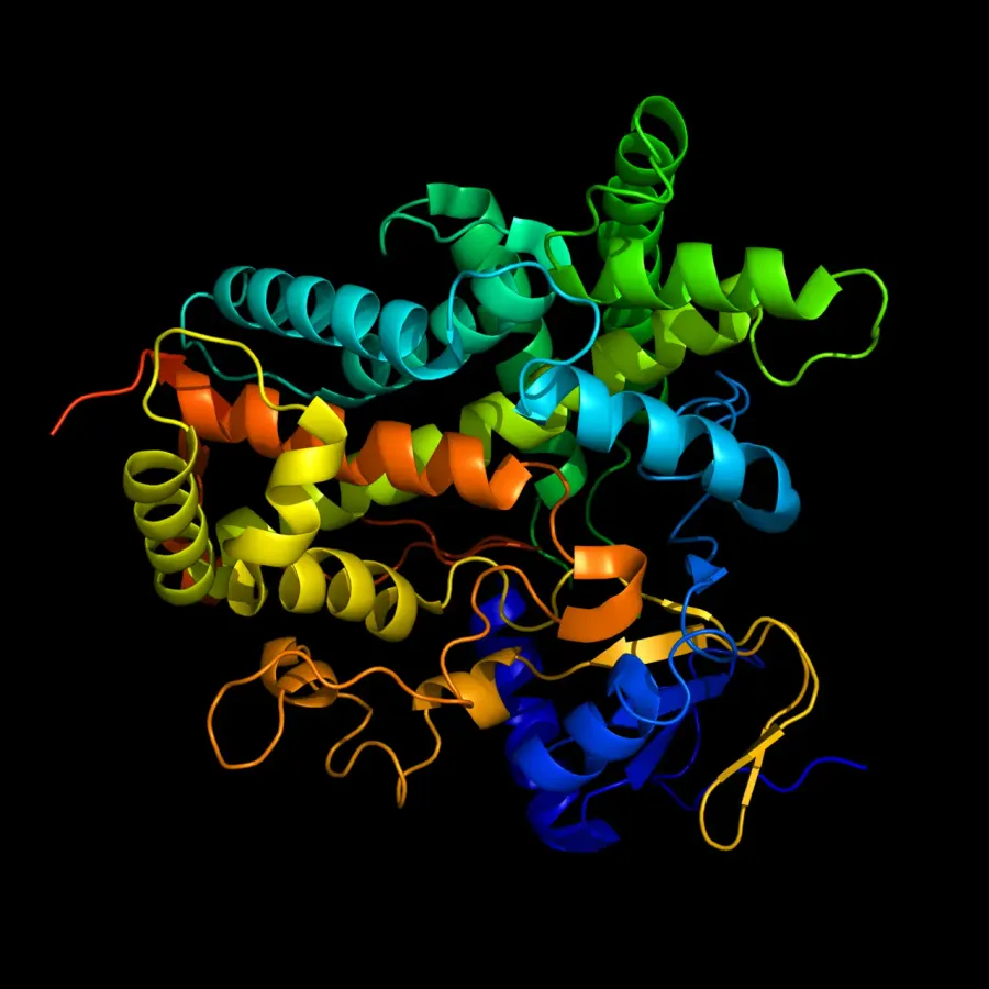 The Cytochrome P450 card