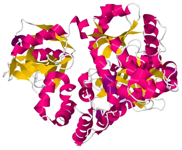 La carte ADN-ligase