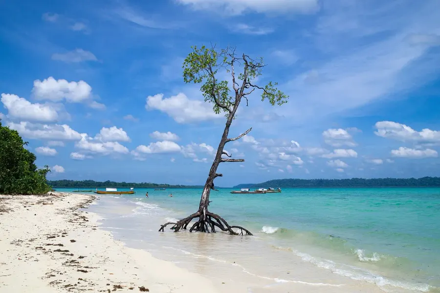 The Andaman and Nicobar Islands card