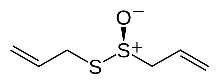 The Allicin card