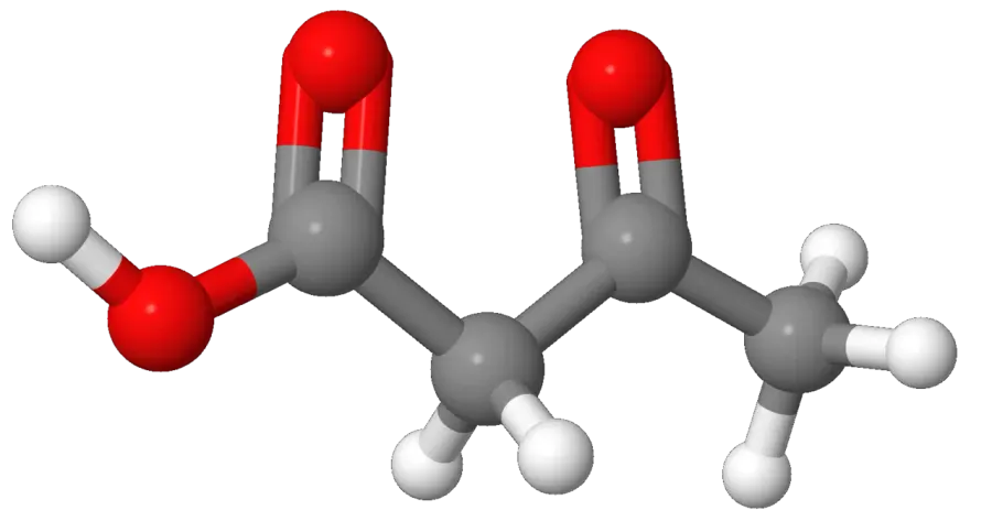 The Acetoacetic acid card