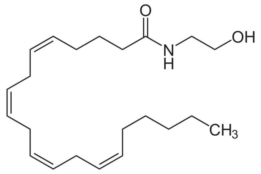 The Anandamide card