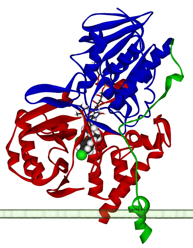 La carte Monoamine-oxydase