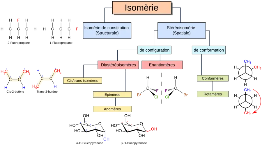 La carte Isomérie