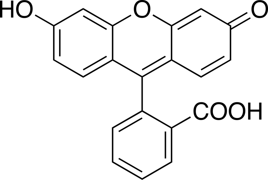 The Fluorescein card