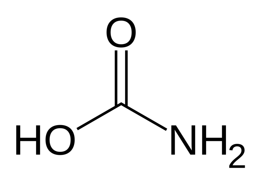 The Carbamic acid card