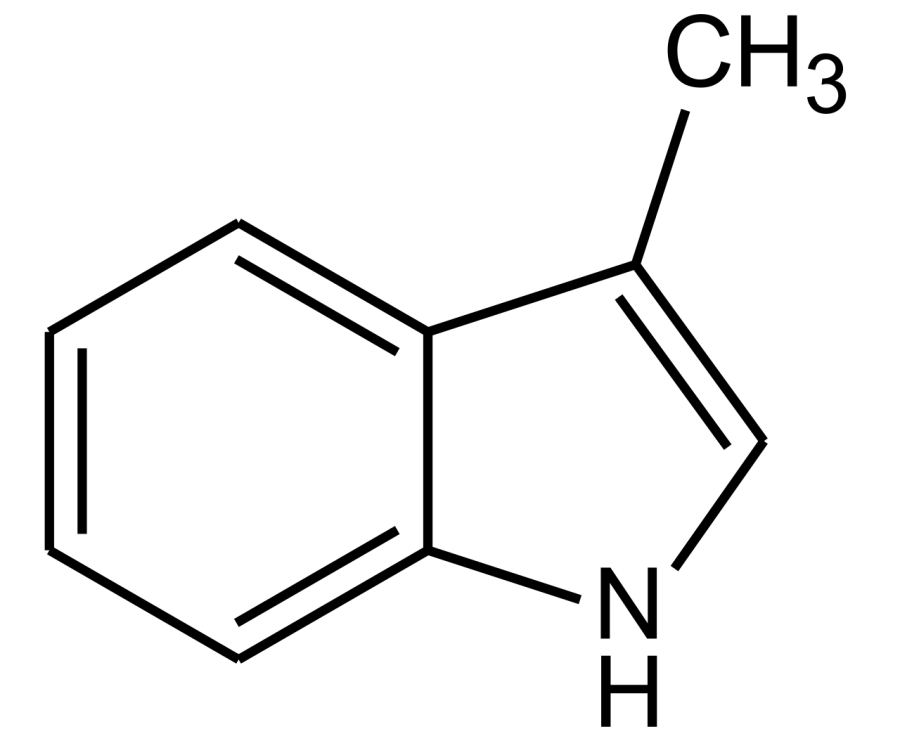 La carte Scatol
