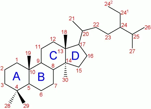 The Phytosterol card