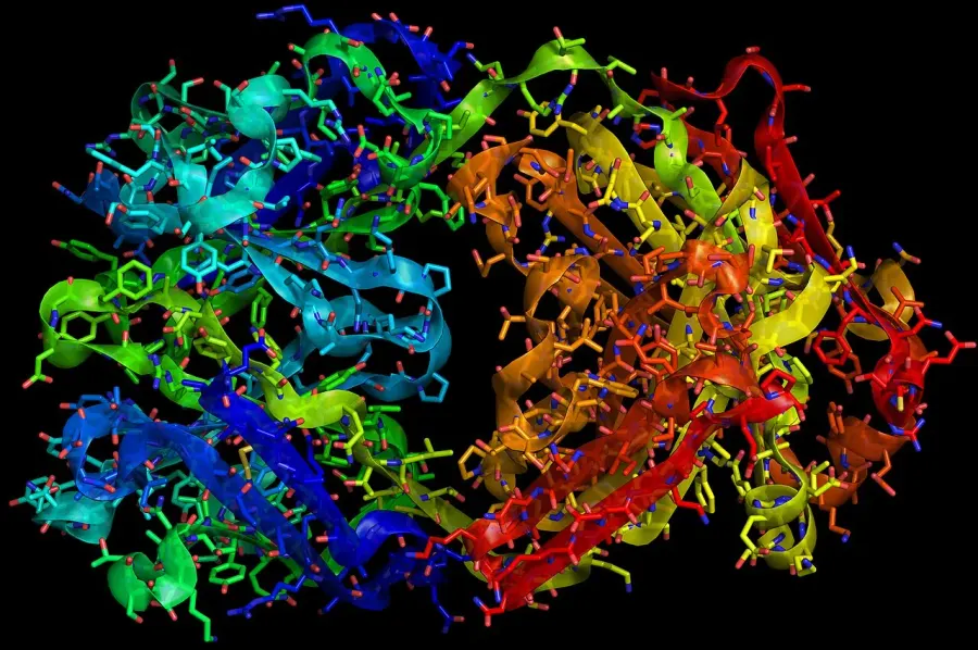 The Trastuzumab card