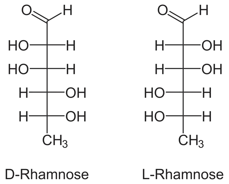 La carte Rhamnose