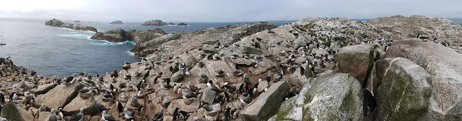 La carte Îles Bounty