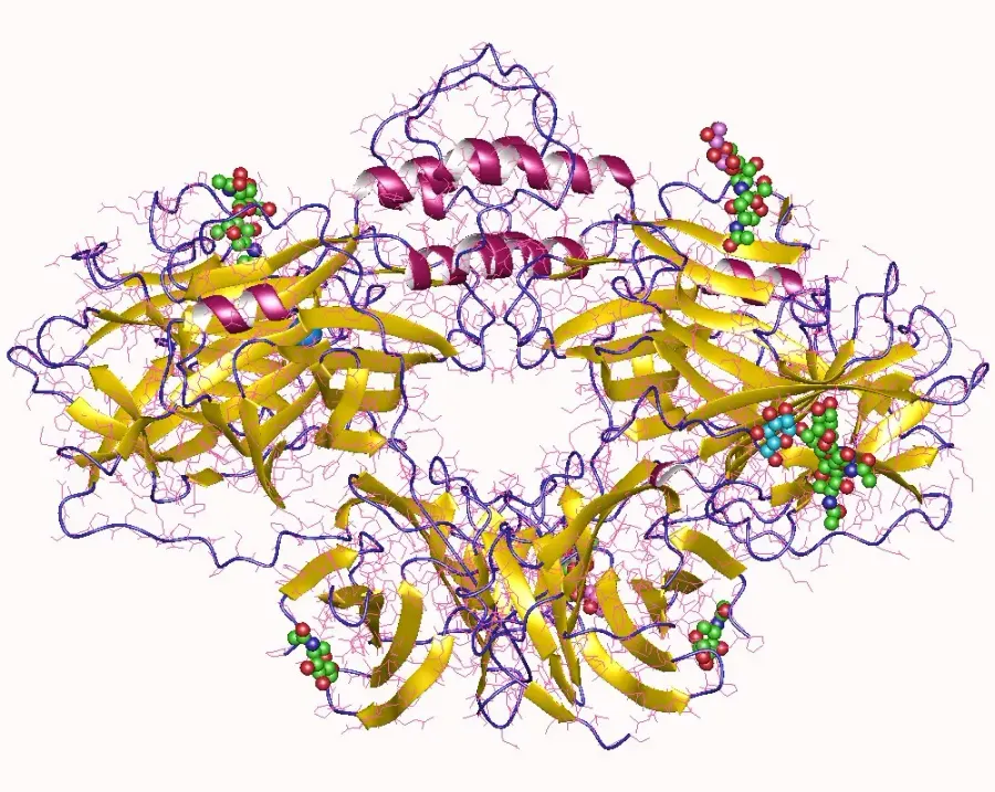 The Dopamine beta-hydroxylase card