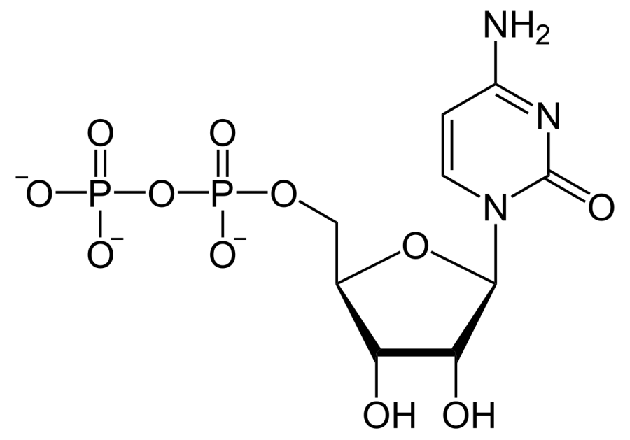 The Cytidine diphosphate card