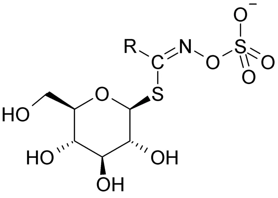 La carte Glucosinolate