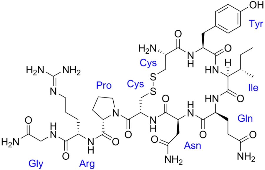 La carte Hormone peptidique