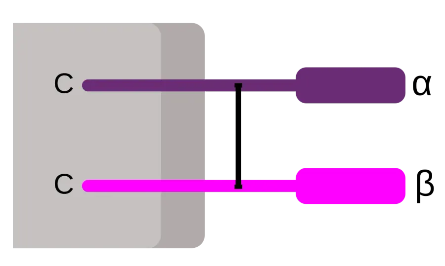La carte CD8
