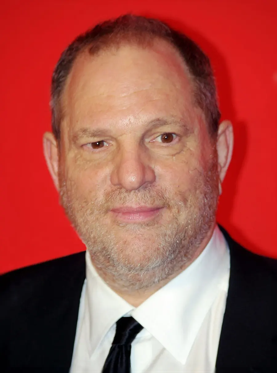 The Harvey Weinstein sexual abuse cases card
