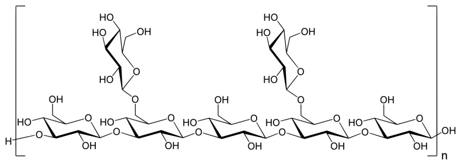 The Lentinan card