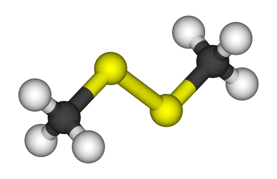La carte Diméthyldisulfure