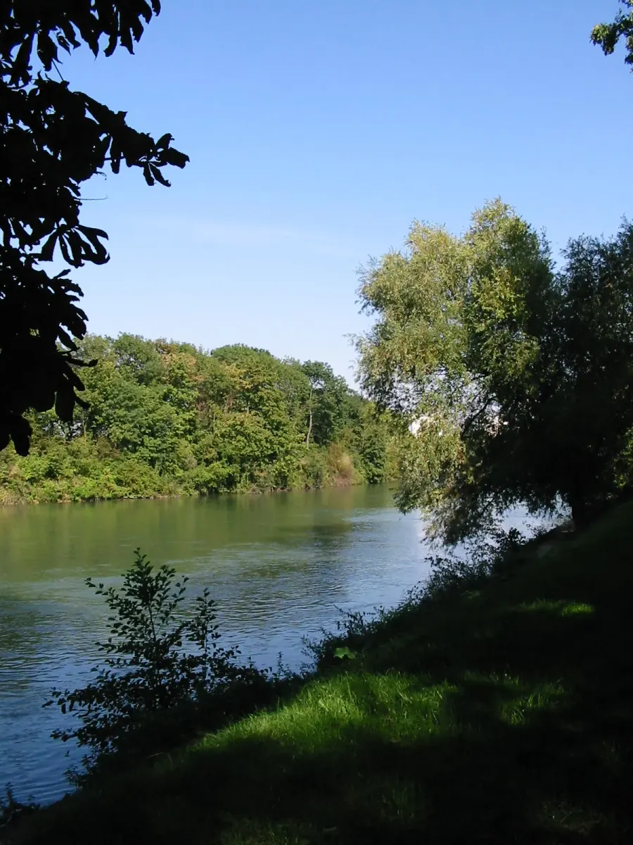 La carte Marne