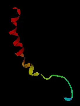 La carte Neuropeptide