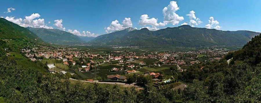 La carte Lana