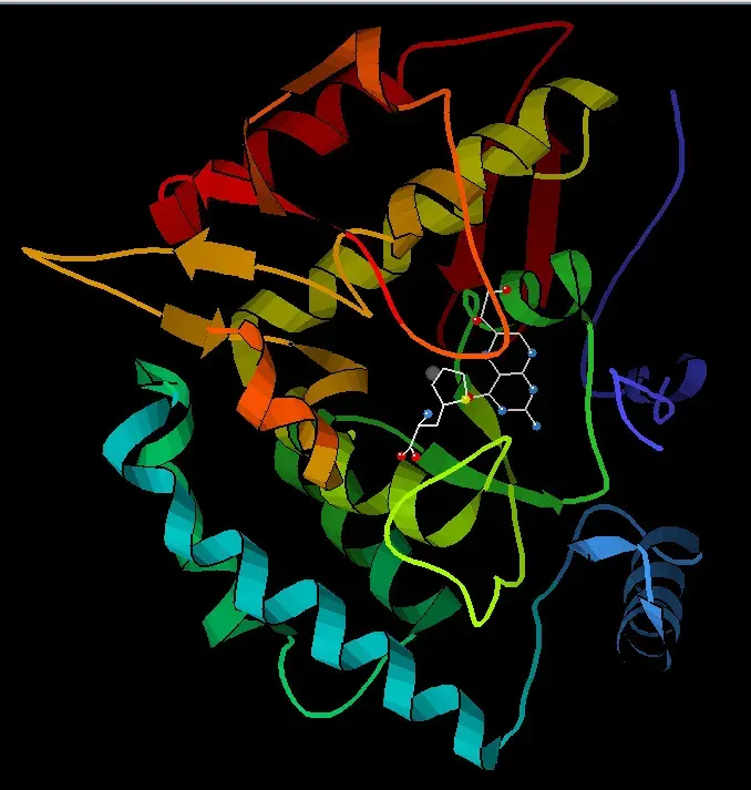The Phenylalanine hydroxylase card
