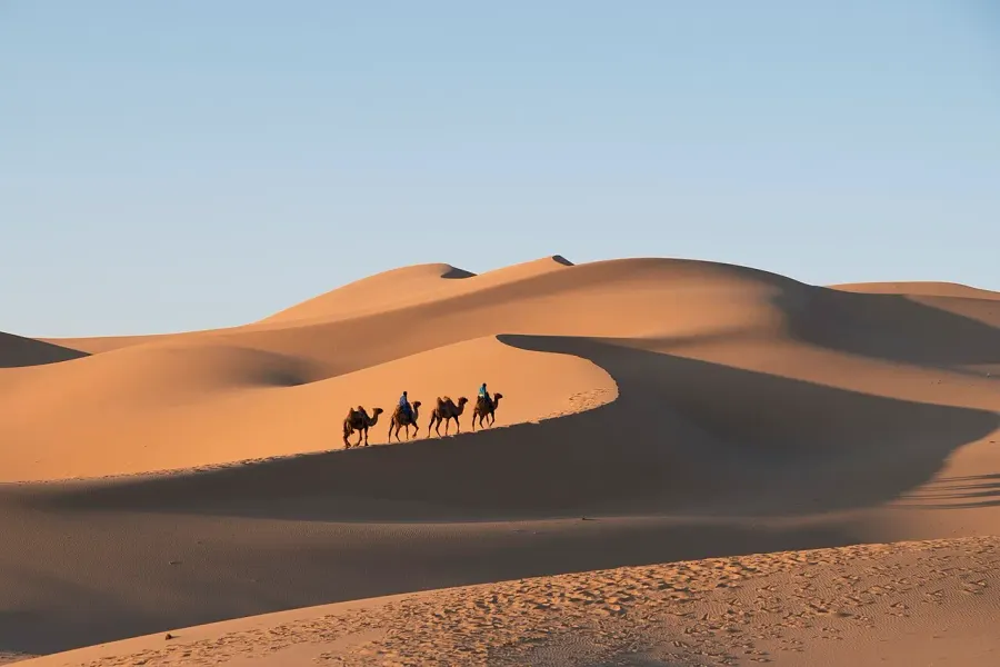 The Gobi Desert card