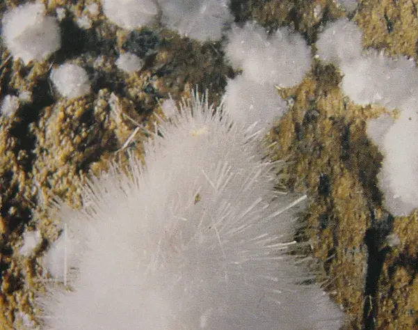 The Hydromagnesite card