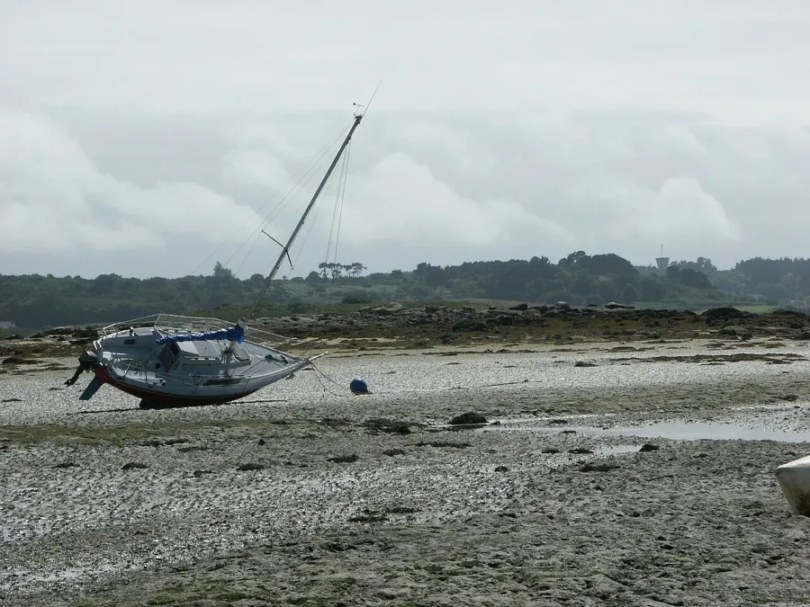 The Intertidal zone card