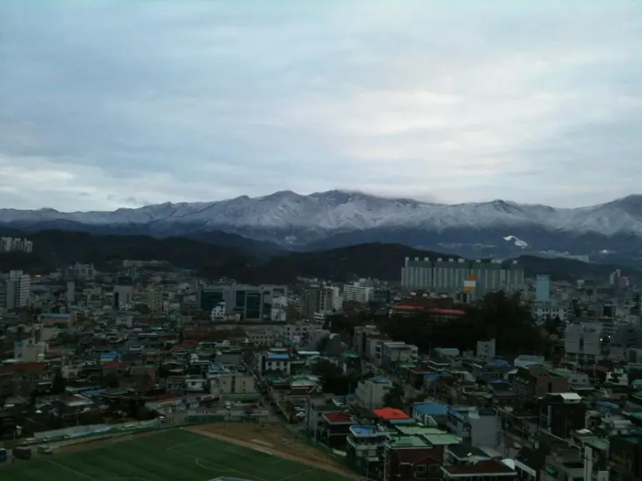 The Wonju card