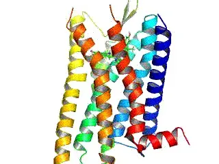 The Opioid receptor card