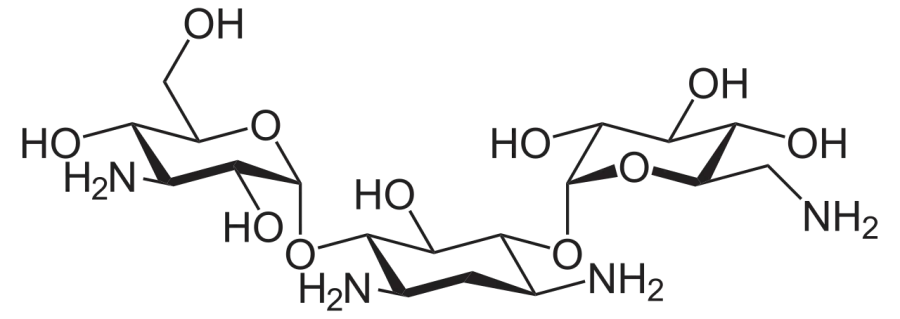 The Kanamycin card