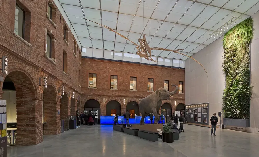 The Muséum de Toulouse card