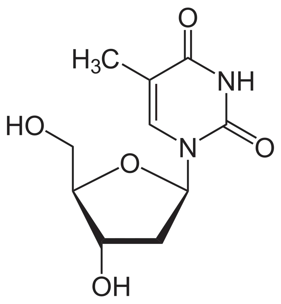 The Thymidine card