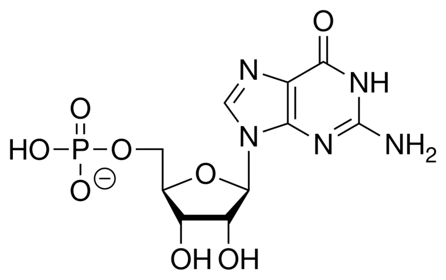 La carte Guanosine monophosphate