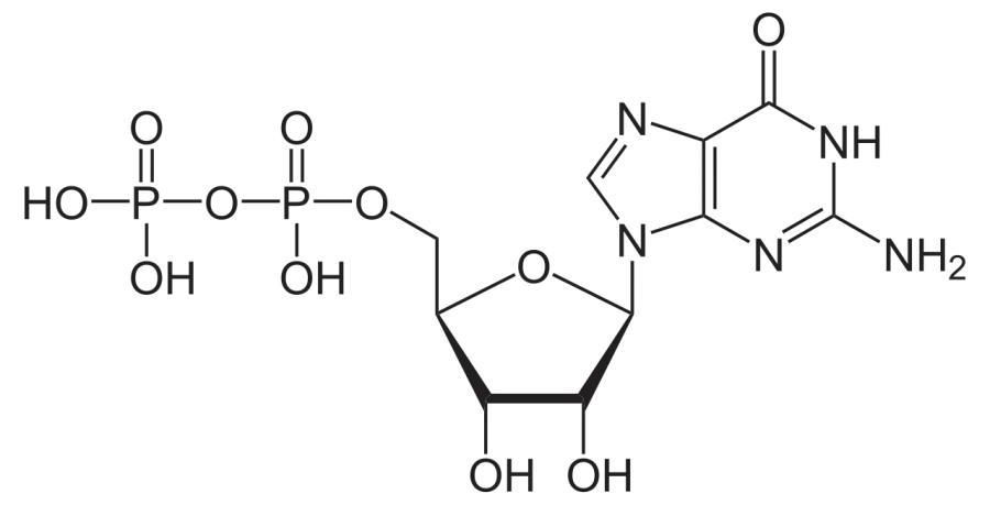 La carte Guanosine diphosphate